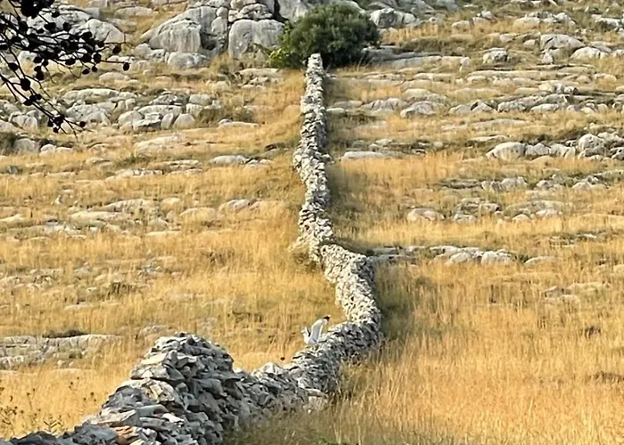 Robinson Tourism Apartman